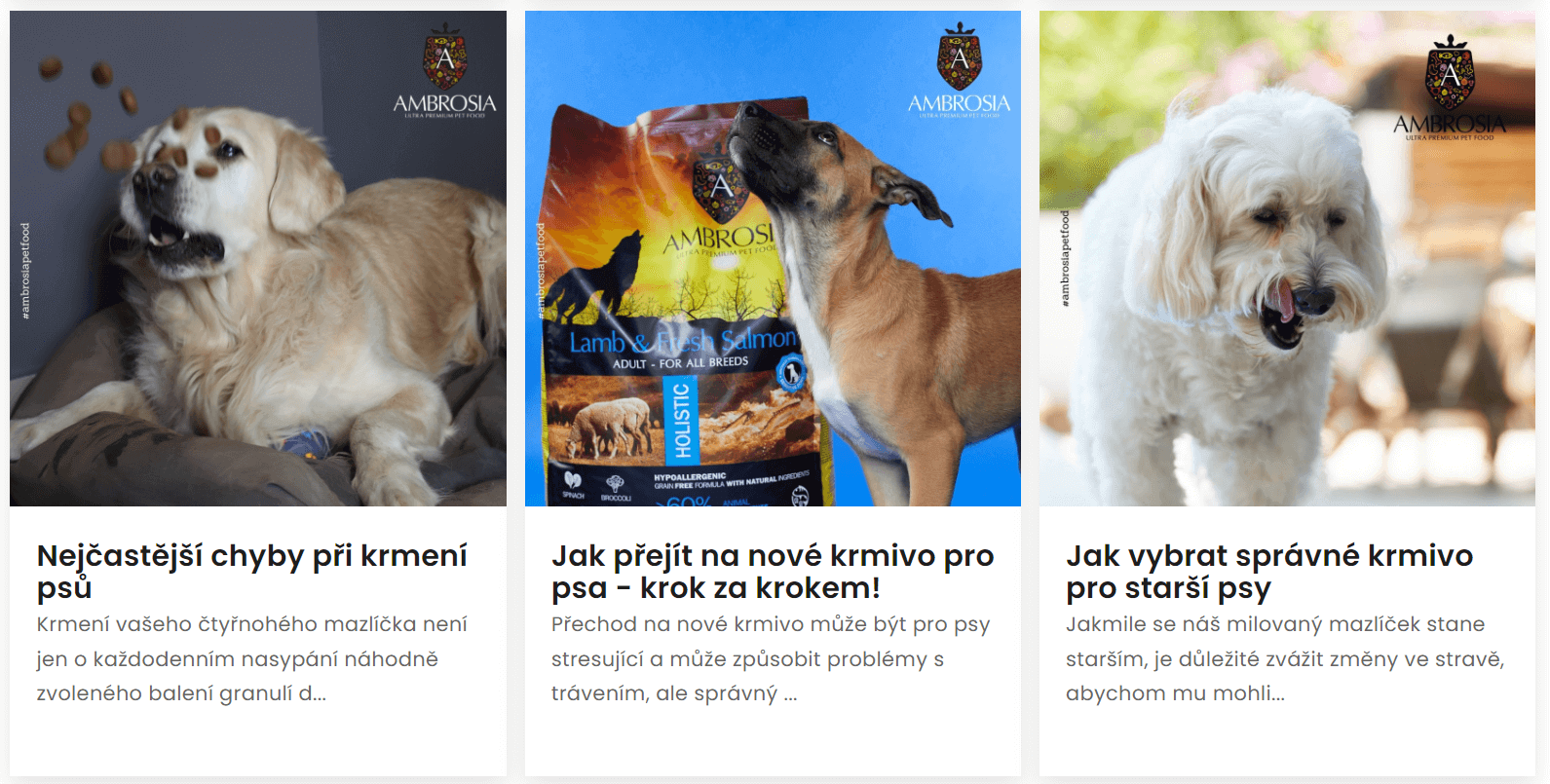 Op de e-shop is een blog gemaakt voor het publiceren van artikelen over hondenverzorging.